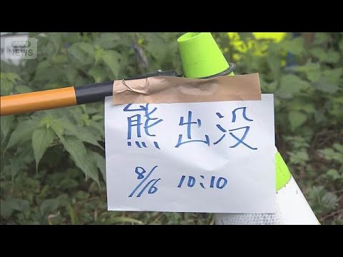 クマに襲われ70代男性けが　林道をランニング中に…岐阜・池田町【スーパーJチャンネル】(2026年8月16日)