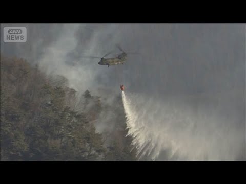 山梨の山火事　7日目も空と陸から消火活動　“強風と乾燥”で燃え広がる(2026年1月14日) サムネイル