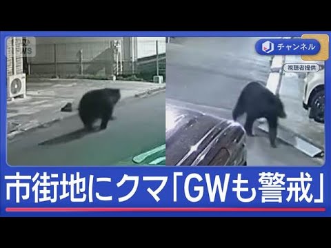 住民騒然“市街地にクマ”　専門家「GWも警戒」【スーパーJチャンネル】(2026年4月20日) サムネイル