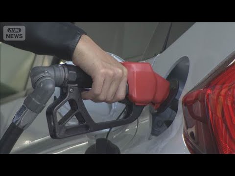 石油節約「呼びかけるべき」6割超　ANN世論調査　旧宮家の養子案は賛否拮抗(2026年4月20日) サムネイル