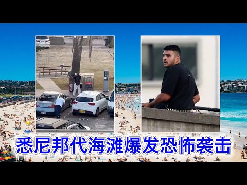 悉尼邦代海滩恐怖袭击，至少12人死，勇士空手夺枪，凶手大概率极端穆斯林 サムネイル
