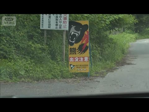 クマに襲われ男性けが　登山道を整備中に　福島・金山町(2026年5月28日) サムネイル
