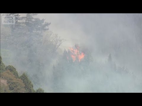 岩手・大槌町山火事　発生5日目も火の勢い収まらず　1300ヘクタール超焼失(2026年4月26日)