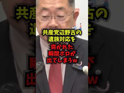 【絶句】共産辺野古の遺族対応を突かれた瞬間ボロが出てしまうw共産党小池晃辺野古事故遺族shorts サムネイル