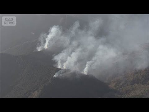 静岡の山火事　焼失約5.5haに被害拡大　発生3日目鎮火のめど立たず(2026年1月19日) サムネイル