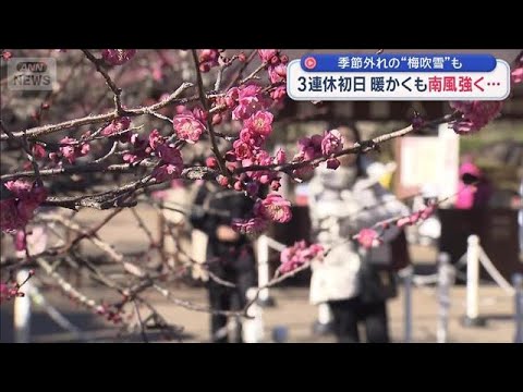 3連休初日　暖かくも南風強く…季節外れの“梅吹雪”も【スーパーJチャンネル】(2026年1月10日) サムネイル