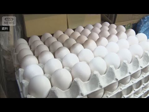 卵1パック308円　去年12月の最高値タイ　農水省の食品価格動向調査(2026年2月17日) サムネイル