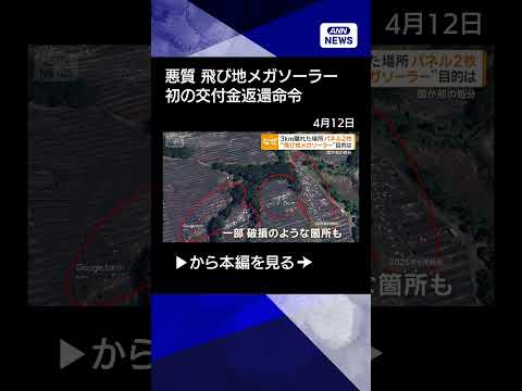 【ニュース】電力価格が上がる“飛び地メガソーラー”に処分　国が初の交付金返還命令shorts
