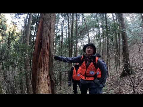 東京で初心者向けの狩猟体験会　都がハンター育成強化　駆除したシカ運び解体【もっと知りたい！】【グッド！モーニング】(2… サムネイル