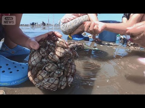 夏日続出…山梨で30℃に迫る暑さ　潮干狩りに多くの人が【スーパーJチャンネル】(2026年4月19日) サムネイル