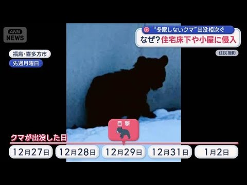 “冬眠しないクマ”出没相次ぐ　なぜ？住宅床下や小屋に侵入【スーパーJチャンネル】(2026年1月6日) サムネイル