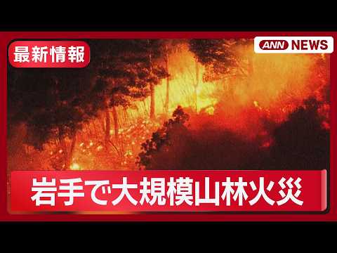 【大規模山林火災】2000人避難指示 住宅街迫る必死の消火活動 岩手･大槌町／強風と乾燥で…火の勢い収まらず【ニュース… サムネイル