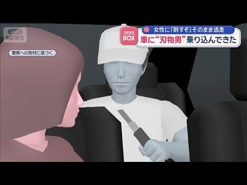 車に“刃物男”乗り込み「刺すぞ」 そのまま逃走 ショッピングモール駐車場で【スーパーJチャンネル】(2026年8月12…