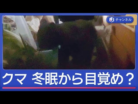 冬眠から目覚め？住宅にクマ出没　“想定外”の一部始終【スーパーJチャンネル】(2026年1月23日) サムネイル