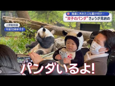 上野動物園“双子のパンダ”きょうが見納め 抽選に外れた人も駆け付け…【スーパーJチャンネル】(2026年1月25日) サムネイル