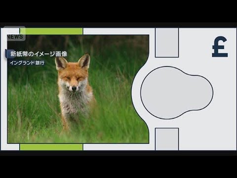 英紙幣デザイン　偉人から生物に変更へ　18候補から投票　保守系議員から批判も(2026年6月4日)