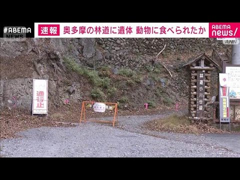 東京・奥多摩町の林道に男性とみられる遺体　動物に食べられた可能性も【スーパーJチャンネル】(2025年12月31日) サムネイル