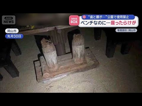 “歯と腰が…”公園で使用禁止　ベンチなのに座ったらけが【スーパーJチャンネル】(2026年6月2日)