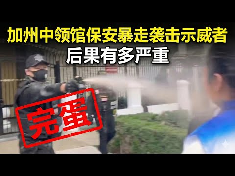 暴走袭击示威者的加州中领馆保安，竟然是安保公司老板？后果可能有多严重：牢底坐穿，家财散尽，声败名裂，生意泡汤，不是美籍… サムネイル