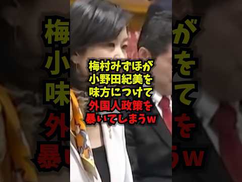 【共闘】梅村みずほが小野田紀美を味方につけて外国人政策を暴いてしまうｗ梅村みずほ 参政党 外国人政策 移民問題 sho… サムネイル