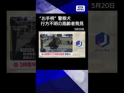 【ニュース】“お手柄”警察犬　3時間半で不明男性を発見　犬用のジャーキーが贈られる　shorts サムネイル