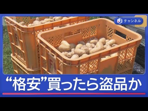 フリマ格安購入したら盗品か“みかんコンテナ”広がる憤り　2人の男女は誰？【スーパーJチャンネル】(2026年5月25日) サムネイル