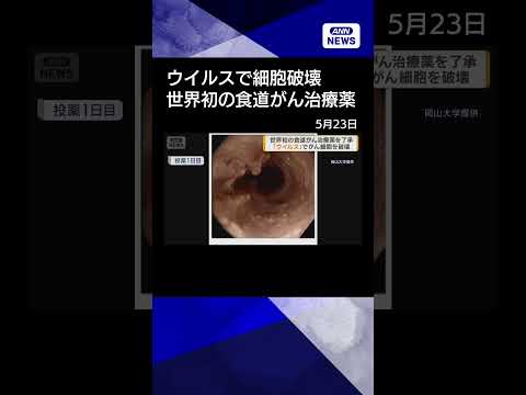 【ニュース】世界初の食道がん治療薬を了承　「ウイルス」でがん細胞を破壊　shorts サムネイル