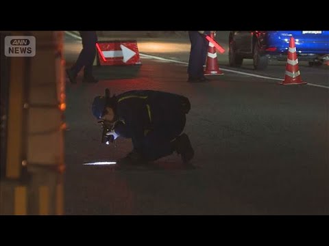 車にはねられ3歳女児死亡「目を離したすきにいなくなった」(2026年4月4日) サムネイル