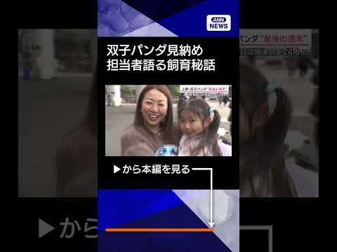 【ニュース】さよなら双子パンダ　現役職員らが語った飼育秘話shorts サムネイル