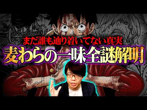 【完全解明】29年経ってもまだ謎…麦わらの一味の本当の正体がヤバすぎる。※ネタバレ 注意【 ワンピース 最新 総集編 】