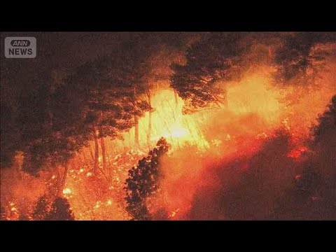 岩手・大槌町で山火事　104世帯250人が避難　県は自衛隊に災害派遣を要請(2026年4月23日) サムネイル