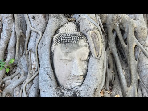 アユタヤ！(2)　小川泰平の事件考察室　Ogawa Taihei  がライブ配信中！ サムネイル