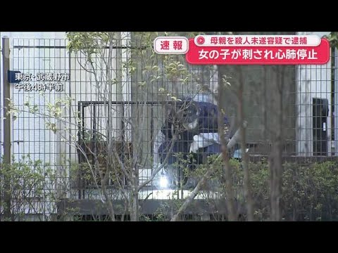 【速報】東京・武蔵野市で女の子が刺され心肺停止　母親を殺人未遂容疑で逮捕【スーパーJチャンネル】(2026年2月1日) サムネイル