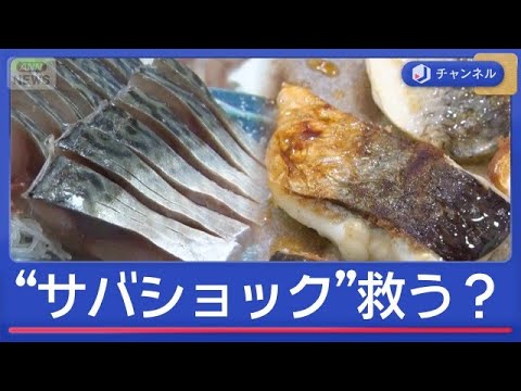 「サバショック」国産も輸入もピンチなぜ？“アノ魚”が食卓の救世主に！？【スーパーJチャンネル】(2026年6月2日)