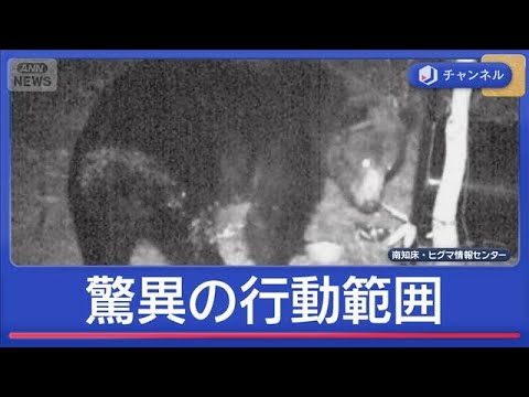 住宅街の防カメにクマ…“驚異の行動範囲”とは【スーパーJチャンネル】(2026年5月12日) サムネイル