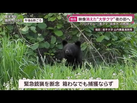 “東京クマ”奥多摩でロシア人襲われケガ 【独自映像】消えた“大学クマ”夜の街へ(2026年5月17日) サムネイル