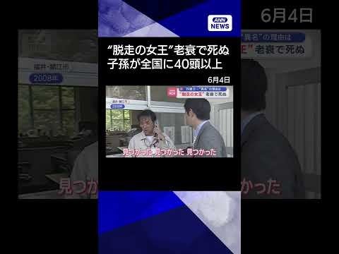 【ニュース】動物園の“脱走の女王”老衰で死ぬ　19歳で…“異名”の理由は shorts