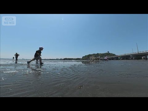 江の島のトンボロ現象　海の中から道が出現　日本のモンサンミッシェルに(2026年5月18日) サムネイル