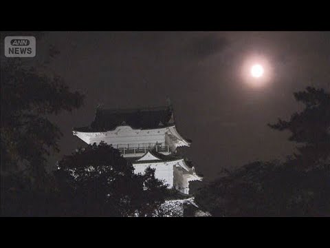 公明票カギ握る三つどもえの戦い　自民vs中道vs国民　衆院神奈川17区【もっと知りたい！】【グッド！モーニング】(20… サムネイル