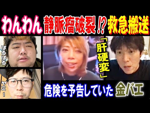 【ぱるぱる】【わんわん】が静脈瘤破裂!? 救急搬送! 2年前危険を予告していた【金バエ】「肝硬変」【ヤミー】 サムネイル