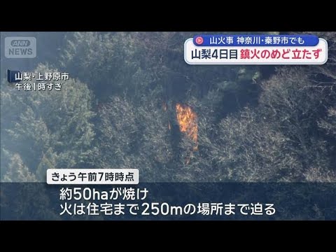 各地で山火事　山梨4日目 鎮火めど立たず/建物火災が木々に延焼 神奈川・秦野【スーパーJチャンネル】(2026年1月1… サムネイル