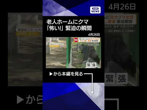 【ニュース】老人ホームにクマ　ガラス扉の向こうで草食べる　秋田市、今月の目撃情報109件 shorts サムネイル