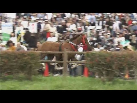 馬が観客らとぶつかり6人けが　「相馬野馬追」武者落馬後に…(2026年5月25日) サムネイル