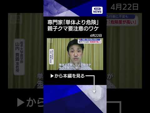 【ニュース】専門家「危険度が高い」“親子クマ”要注意のワケ shrots サムネイル