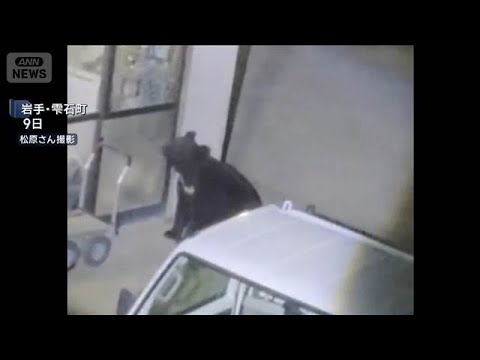 クマ1頭を捕獲　住宅侵入を繰り返した個体か　岩手・雫石町(2026年7月17日)