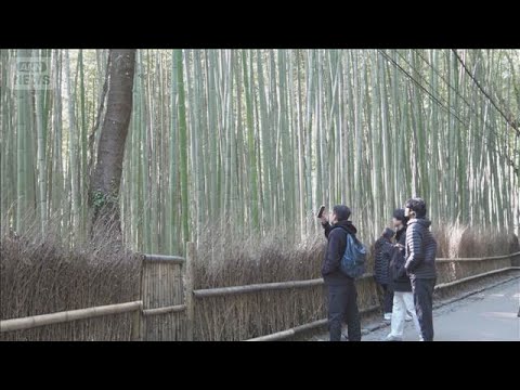 京都市の「観光消費」2兆円超　宿泊代や入場・拝観料など　外国人が11.2％増【知っておきたい！】【グッド！モーニング】… サムネイル