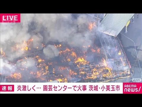 茨城・小美玉市の園芸センターで火事　消火活動続く(2026年2月4日) サムネイル