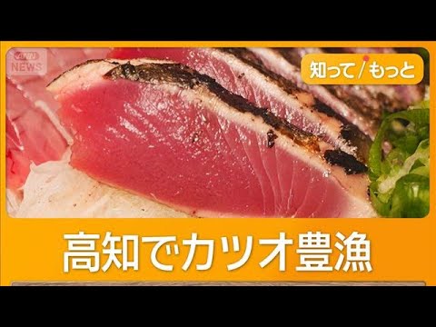 高知でカツオ豊漁　黒潮大蛇行終息で海水温上昇　水揚げ4倍以上、卸値は3～4割安【もっと知りたい！】【グッド！モーニング… サムネイル