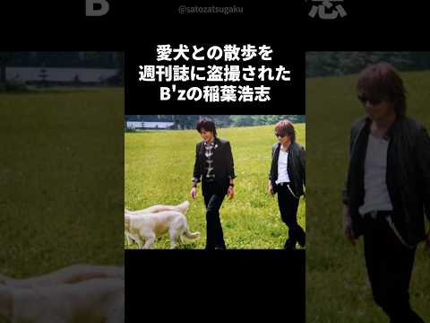 【注目】稲葉浩志が抱える “散歩中の密かな不安”shorts 芸能人 芸能