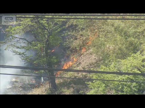 大規模な山林火災から2週間…大槌町で新たな山火事　前回の現場はクマが鎮火阻む【報道ステーション】(2026年5月6日) サムネイル